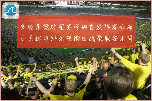 多特蒙德对霍芬海姆首发阵容公布小贝林与拜尔领衔出战聚勒安东同场竞技