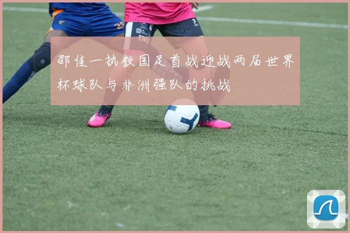 邵佳一执教国足首战迎战两届世界杯球队与非洲强队的挑战