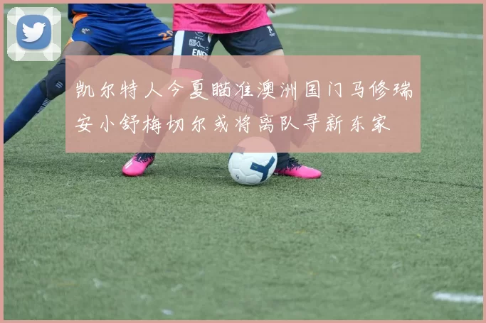 凯尔特人今夏瞄准澳洲国门马修瑞安小舒梅切尔或将离队寻新东家
